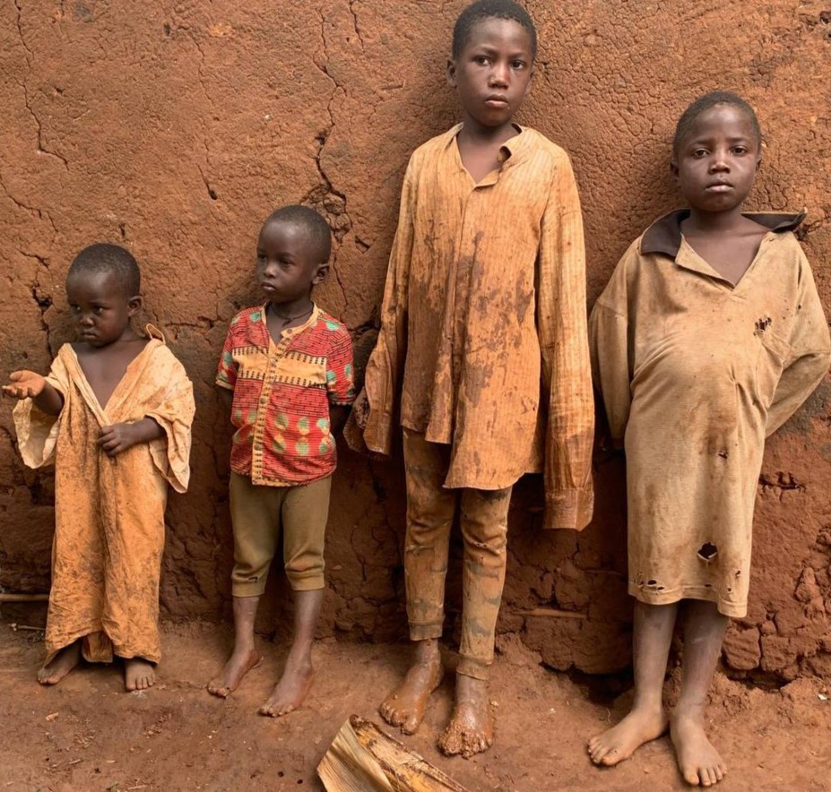 photo 21 2025 11 03 13 57 02 (2)